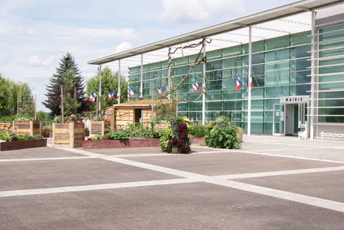 Telephone Clinique Veterinaire Du Chat Perche Noidans Les Vesoul